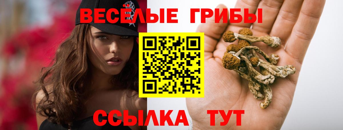 Саров  Псилоцибиновые грибы мухоморы  Вход с VPN 