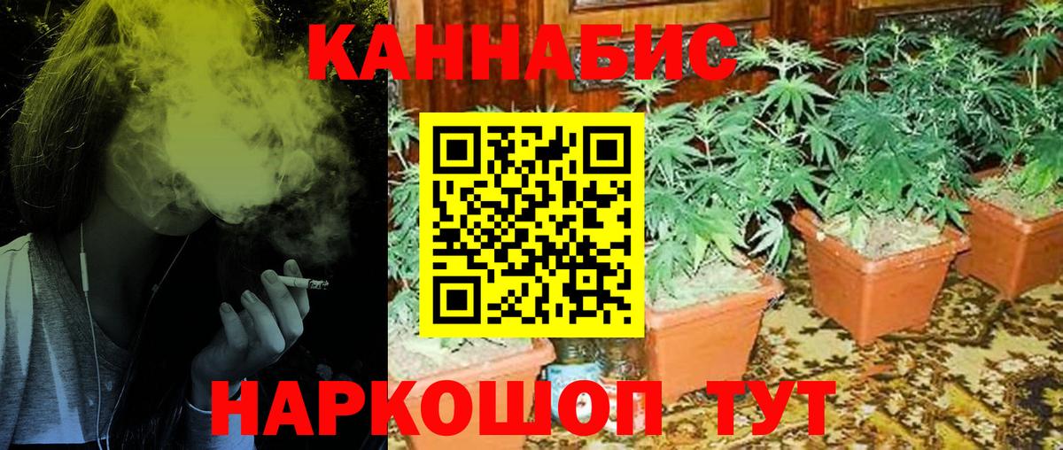 Канабис индика Саров